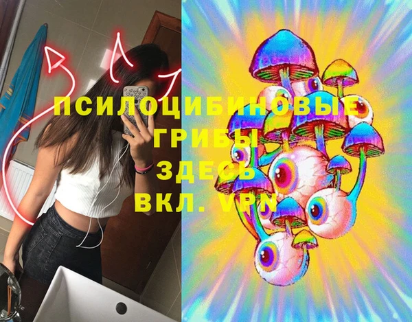 альфа пвп Алексеевка