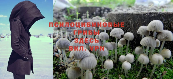 кокс Алзамай