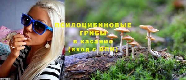 кокс Алзамай